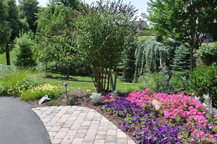 Professional yard maintenance in Gaithersburg, MD - Xtra Care Landscaping