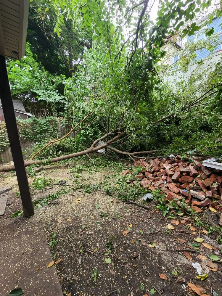 Affordable landscape installation in Pittsburgh, PA - Xtra Handz