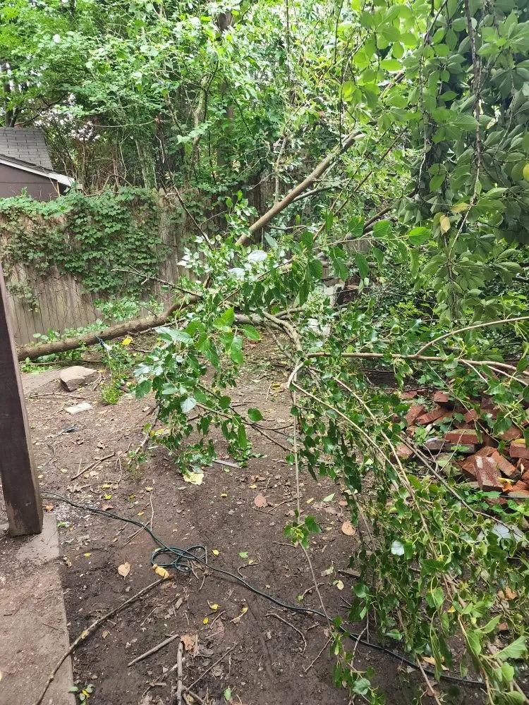 Top-rated lawn mowing service in Pittsburgh, PA - Xtra Handz