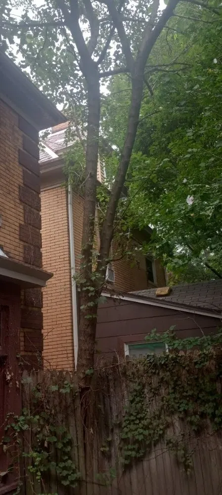 Affordable residential landscaping in Pittsburgh, PA by Xtra Handz