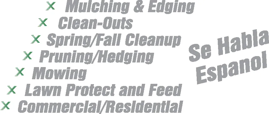 Local yard cleanup service for beautiful yards across Cleveland, OH - Xtravagrass