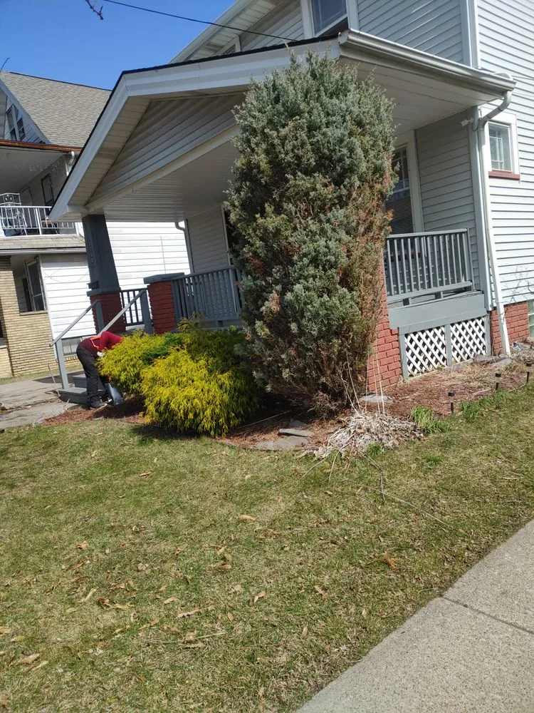 Affordable landscape design in Cleveland, OH - Xtravagrass