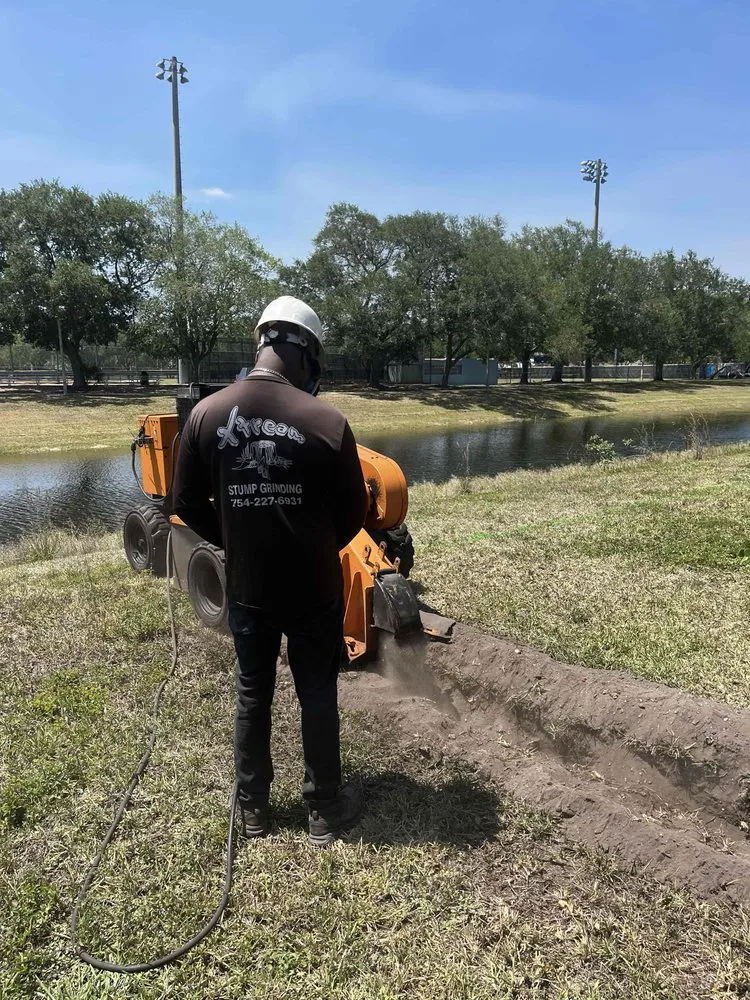 Professional landscape installation in Margate, FL - Xtream Stump Grinding