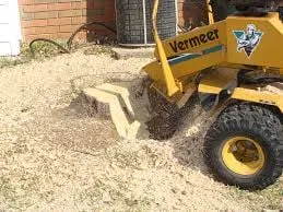 Local garden landscaping for beautiful yards in Margate, FL by Xtream Stump Grinding