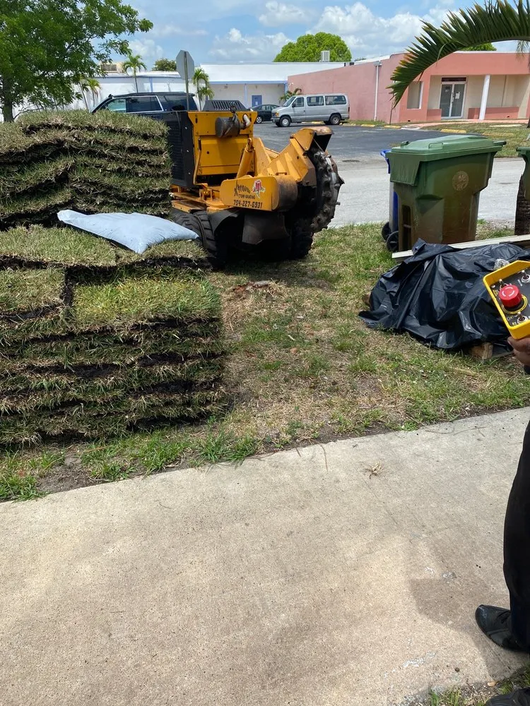 Professional outdoor landscaping in Margate, FL - Xtream Stump Grinding