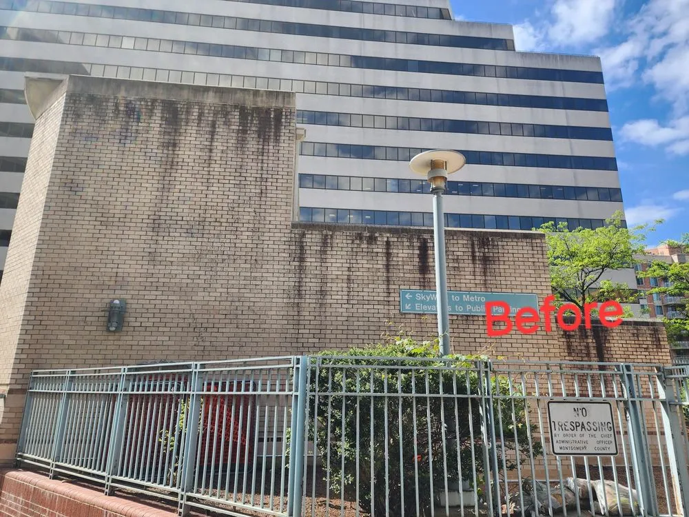 Top-rated landscaping services in Catonsville, MD - Xtreme Cleaning Services