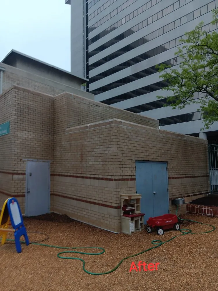 Top-rated yard cleanup service experts serving Catonsville, MD - Xtreme Cleaning Services