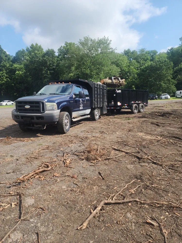 Local yard cleanup service in Catonsville, MD by Xtreme Cleaning Services