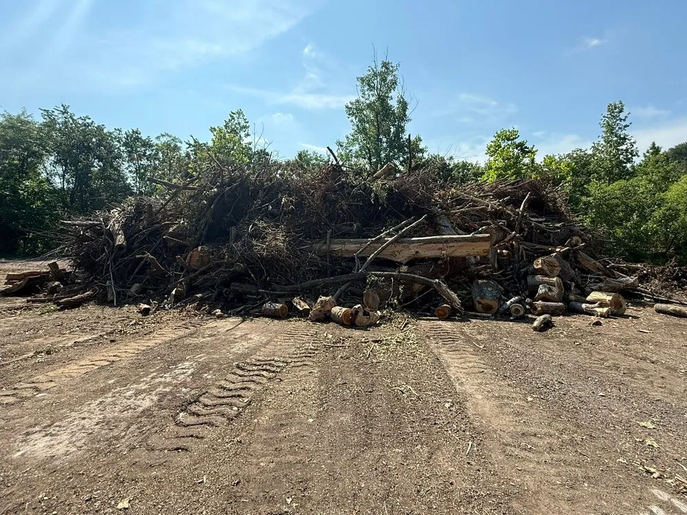 Affordable yard cleanup service in Catonsville, MD by Xtreme Cleaning Services