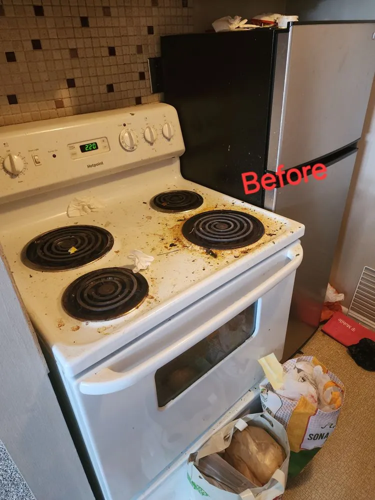 Top-rated yard cleanup service in Catonsville, MD by Xtreme Cleaning Services