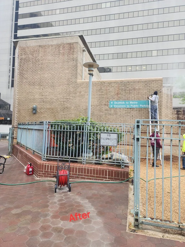 Affordable yard maintenance with custom design across Catonsville, MD - Xtreme Cleaning Services