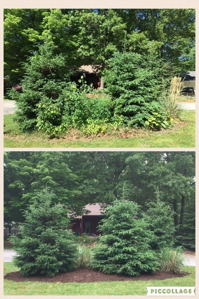 Local yard maintenance in Spring Lake, MI by Xtreme Green Lawn & Landscape