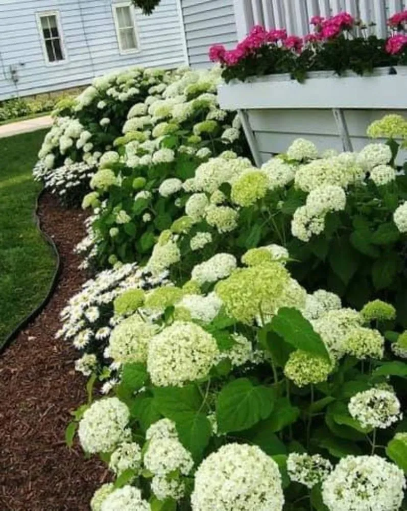 Professional outdoor landscaping in Spring Lake, MI by Xtreme Green Lawn & Landscape