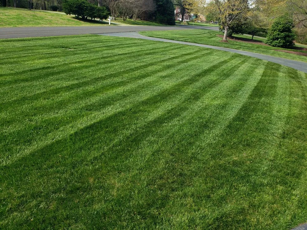 Local lawn mowing service in Roxboro, NC - Xtreme Green