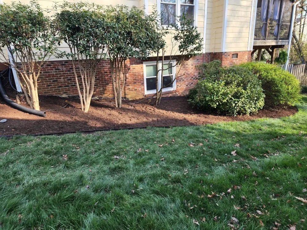 Top-rated yard maintenance in Roxboro, NC - Xtreme Green