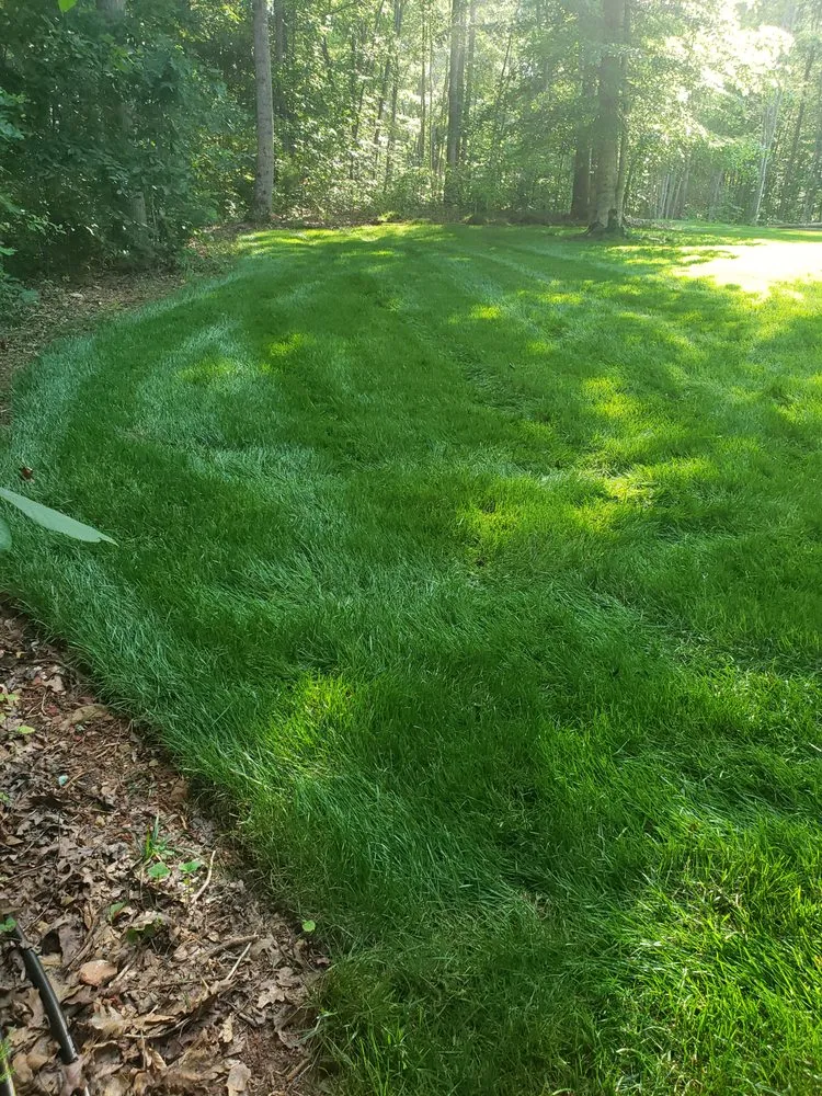 Trusted lawn care service with custom design across Roxboro, NC - Xtreme Green