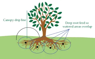 Expert outdoor landscaping for outdoor upgrades in Phoenix, AZ by Xtreme Green Visions LLC