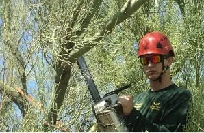 Expert landscape design near you across Phoenix, AZ - Xtreme Green Visions LLC