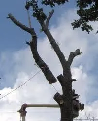 Custom lawn mowing service for residential properties in Phoenix, AZ by Xtreme Green Visions LLC