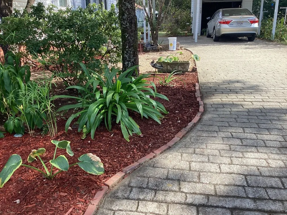 Top-rated yard cleanup service in Talladega, AL by Xtreme Landscaping & Lawn Care