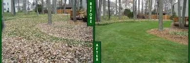 Professional yard cleanup service in Casper, WY - Xtreme Landscaping