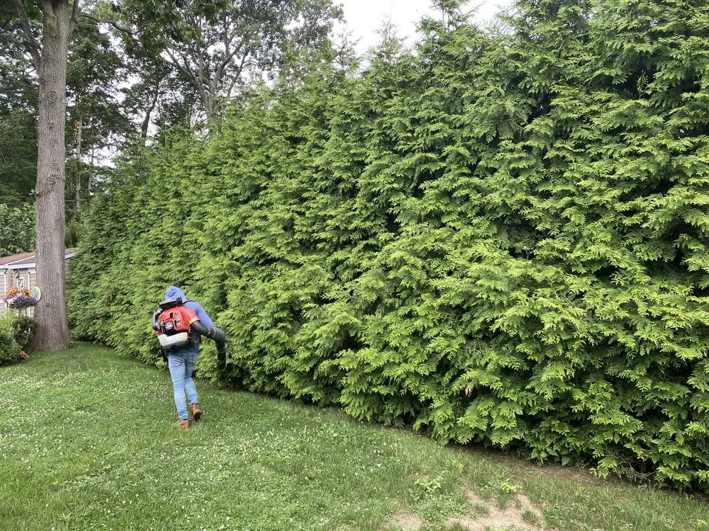 Top-rated yard cleanup service in Freeport, NY by Xtreme Landscaping