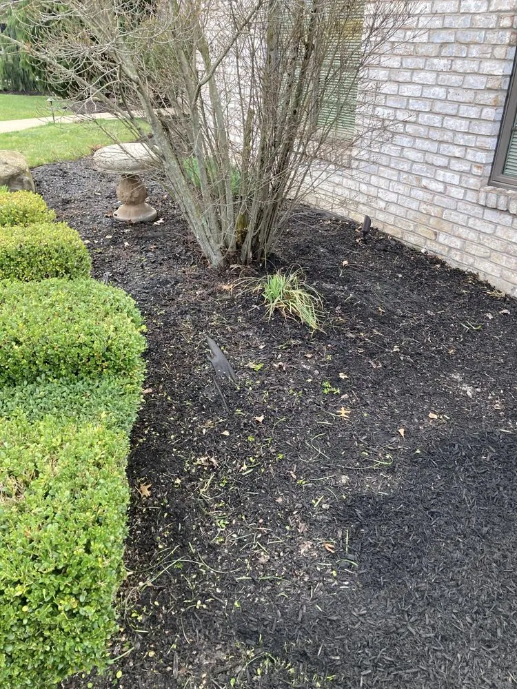 Trusted lawn care service for residential properties across Zelienople, PA - Xtreme Lawn Services