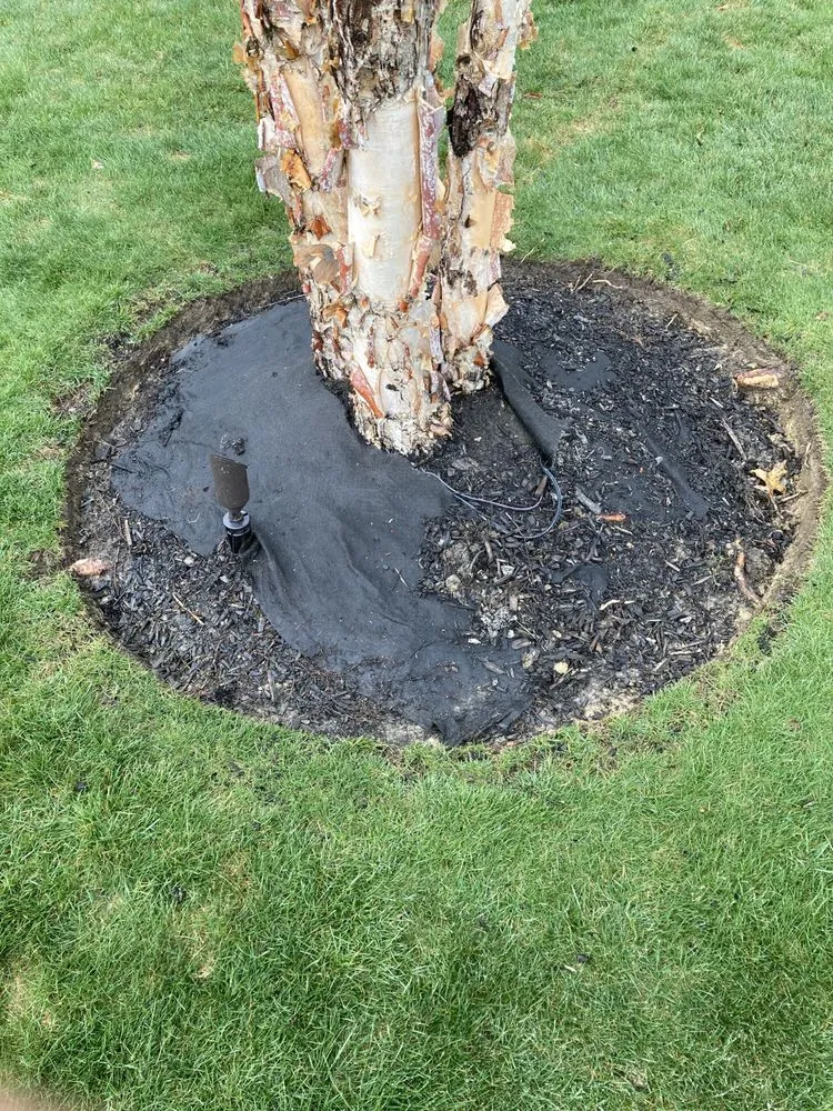 Affordable outdoor landscaping near you in Zelienople, PA by Xtreme Lawn Services