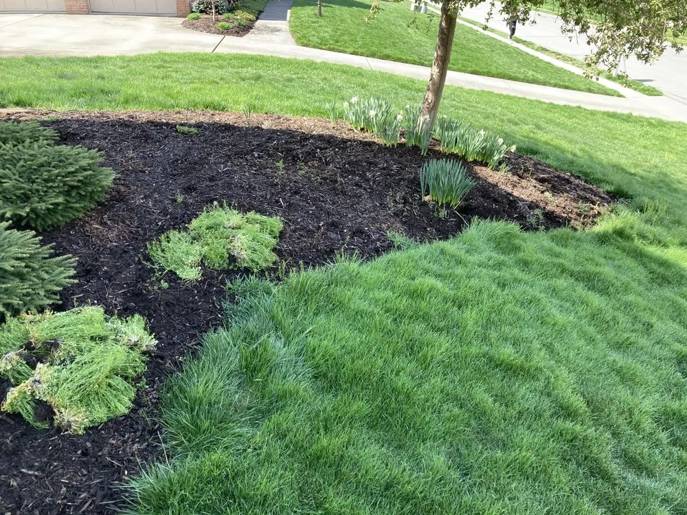 Top-rated yard maintenance in Zelienople, PA - Xtreme Lawn Services