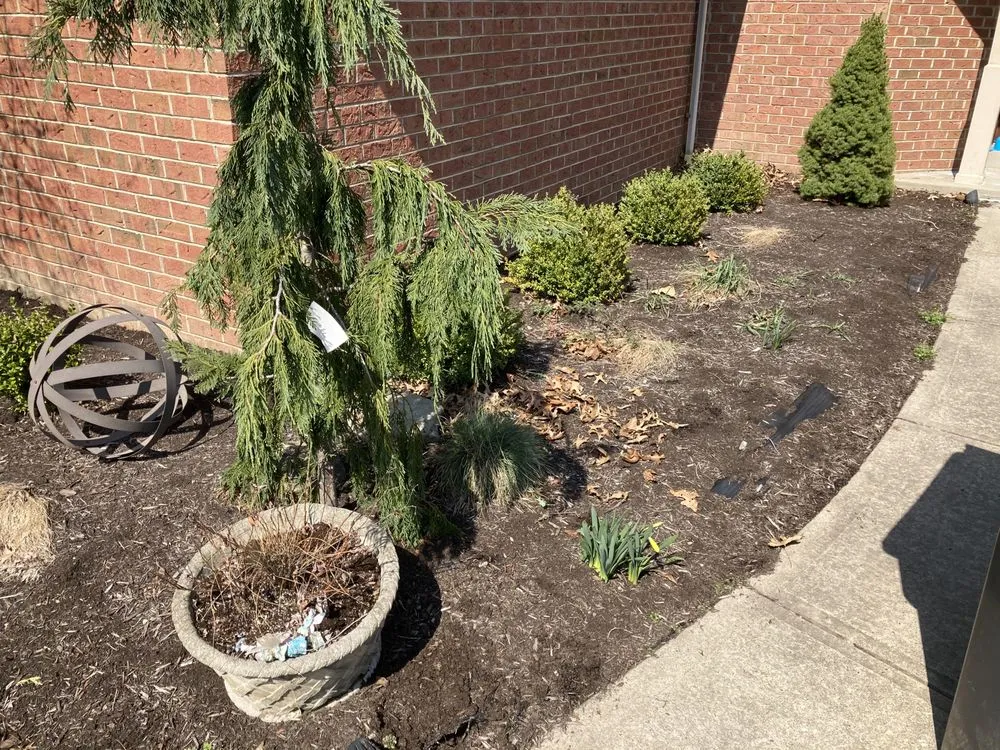 Professional residential landscaping in Zelienople, PA - Xtreme Lawn Services