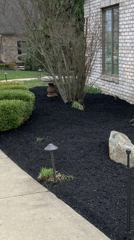 Expert yard cleanup service in Zelienople, PA by Xtreme Lawn Services