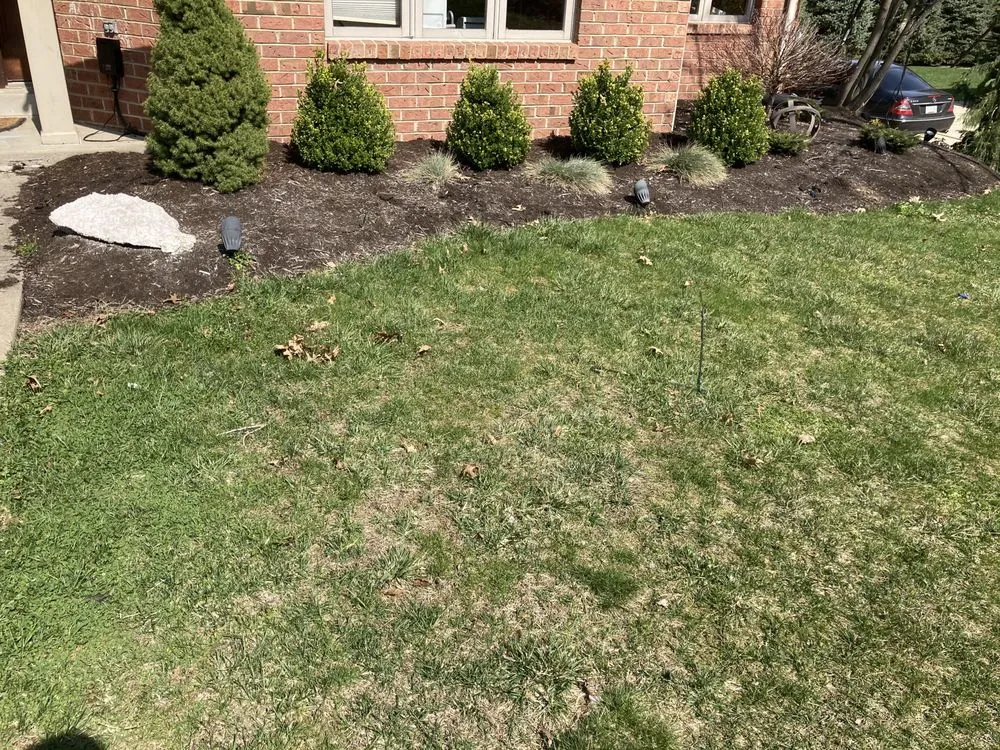 Trusted lawn mowing service for outdoor upgrades in Zelienople, PA by Xtreme Lawn Services