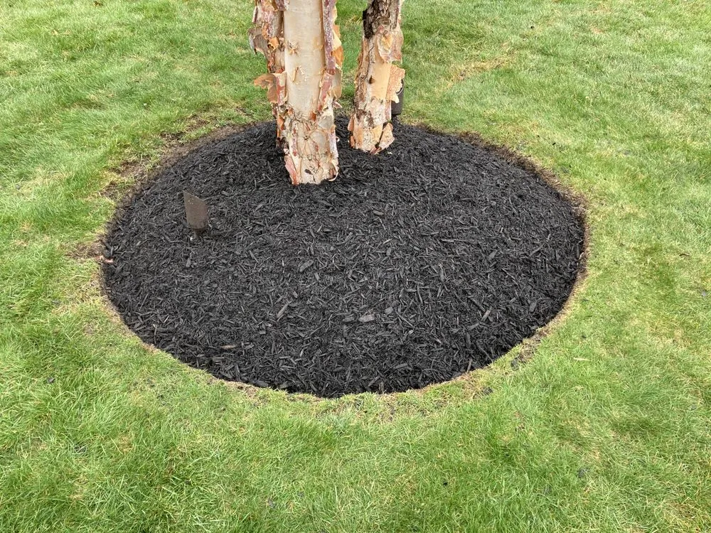 Reliable residential landscaping with custom design in Zelienople, PA by Xtreme Lawn Services