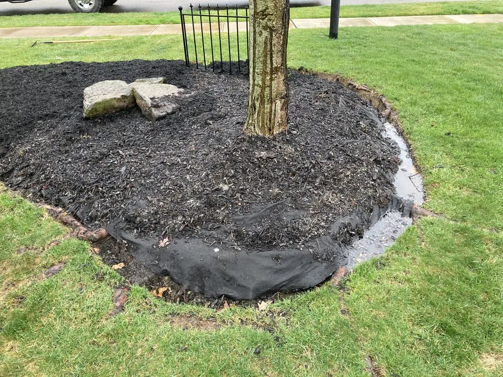 Professional lawn mowing service in Zelienople, PA - Xtreme Lawn Services