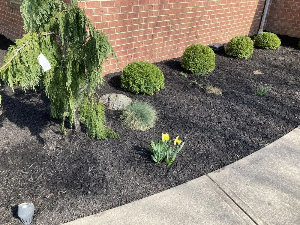 Professional lawn mowing service in Zelienople, PA by Xtreme Lawn Services