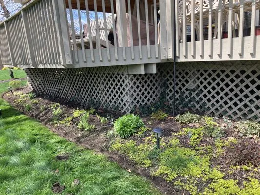 Xtreme Lawn Services