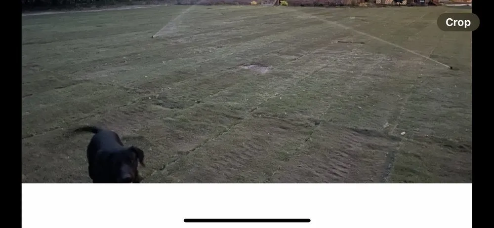 Top-rated lawn care service in Orangeburg, SC by Xtreme Outdoor Solutions