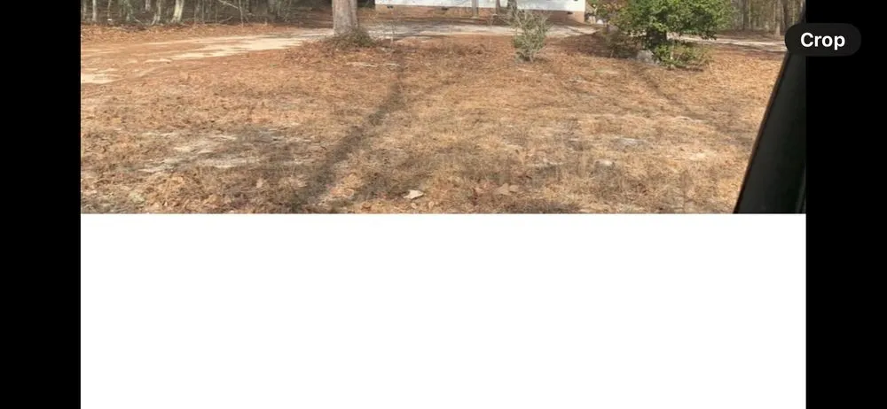 Affordable lawn care service in Orangeburg, SC by Xtreme Outdoor Solutions