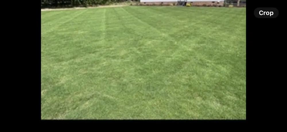 Affordable landscaping services for residential properties in Orangeburg, SC by Xtreme Outdoor Solutions