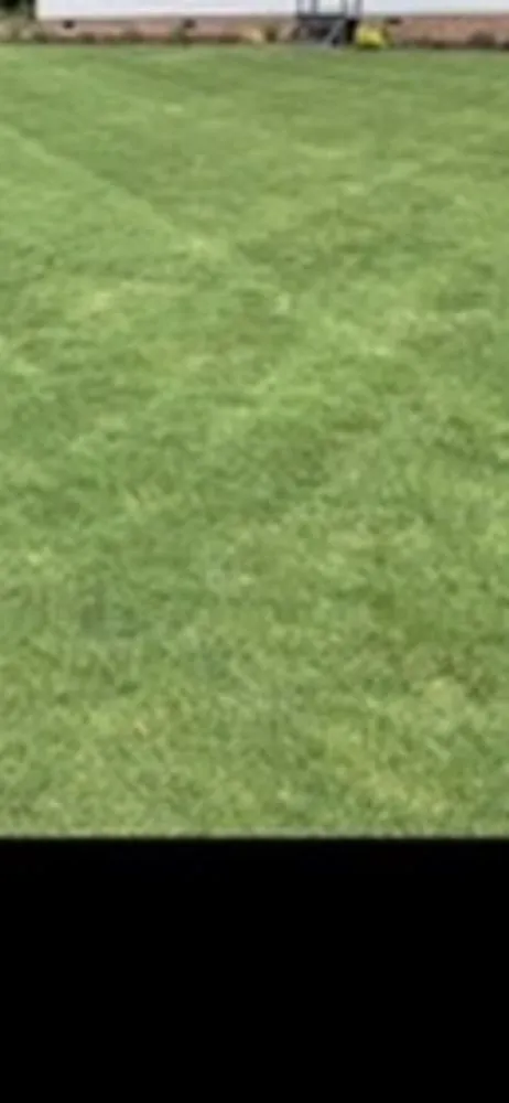 Trusted yard cleanup service in Orangeburg, SC - Xtreme Outdoor Solutions