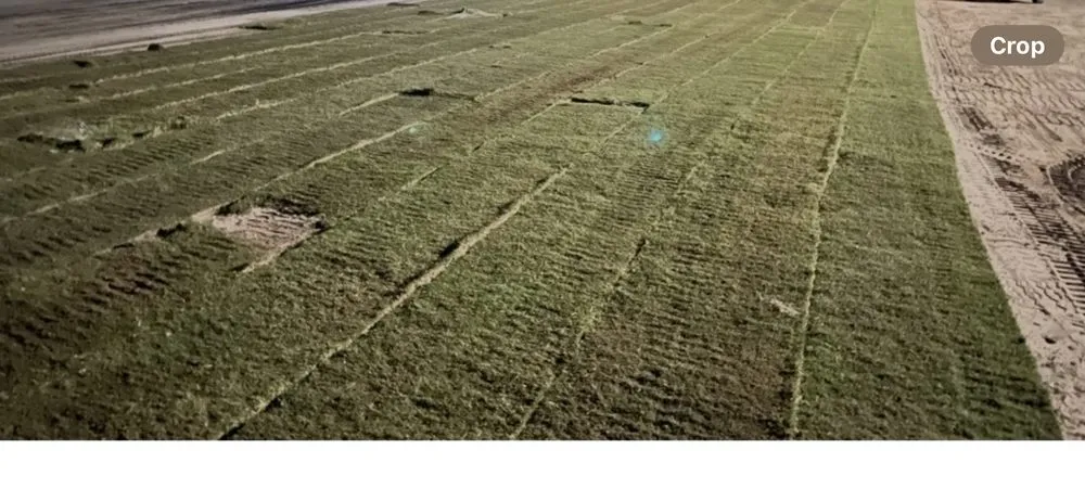 Custom lawn care service in Orangeburg, SC - Xtreme Outdoor Solutions