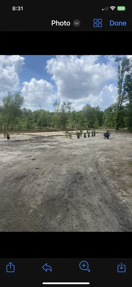 Affordable yard cleanup service for residential properties in Orangeburg, SC by Xtreme Outdoor Solutions