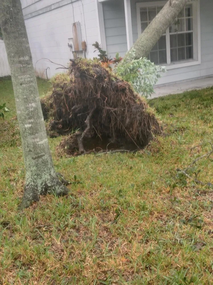 Reliable landscaping services for outdoor upgrades in Sanford, FL by Xtreme Outdoor Solutions