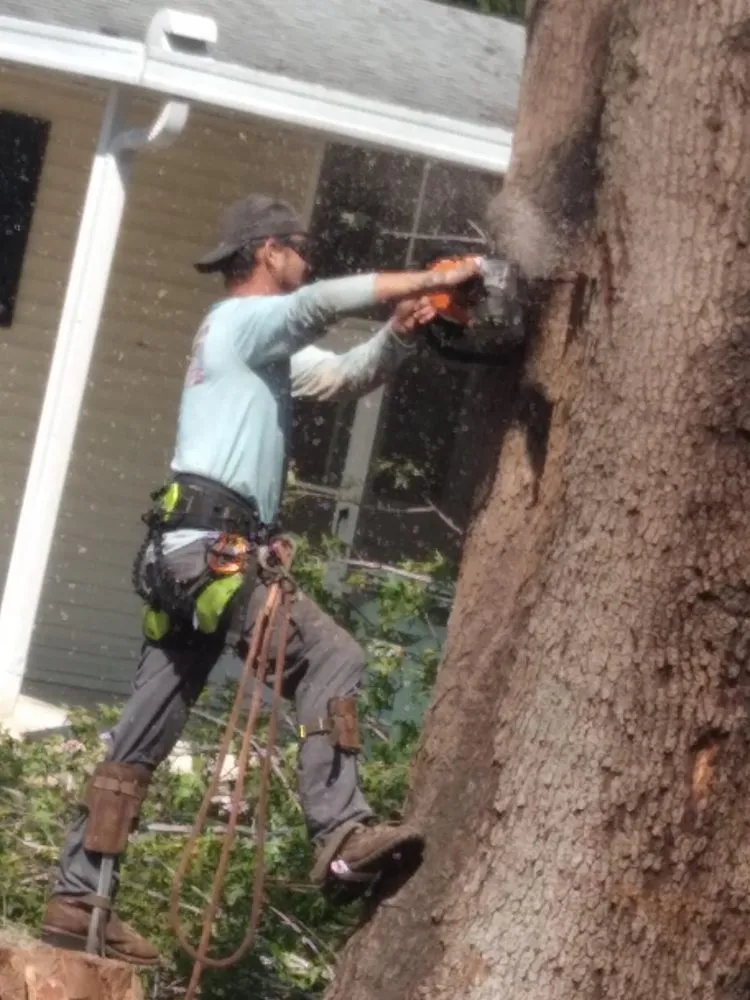 Professional residential landscaping for outdoor upgrades in Sanford, FL by Xtreme Outdoor Solutions