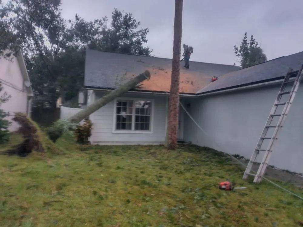 Professional landscaping services for outdoor upgrades across Sanford, FL - Xtreme Outdoor Solutions