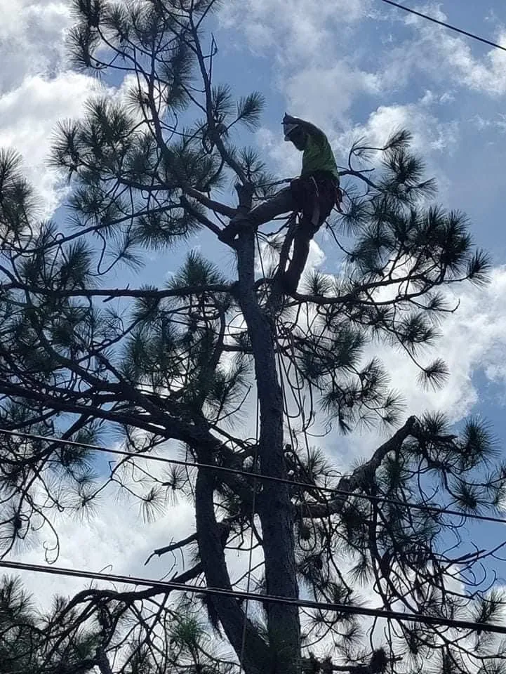 Custom lawn mowing service in Sanford, FL - Xtreme Outdoor Solutions