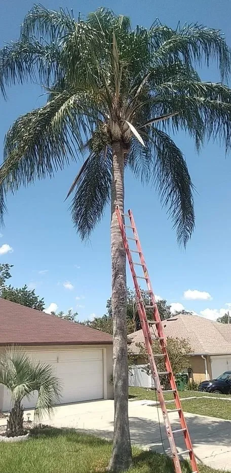 Affordable garden landscaping in Sanford, FL by Xtreme Outdoor Solutions