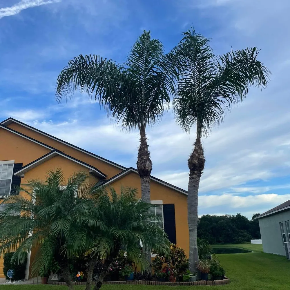 Professional yard cleanup service for year-round maintenance in Sanford, FL by Xtreme Outdoor Solutions