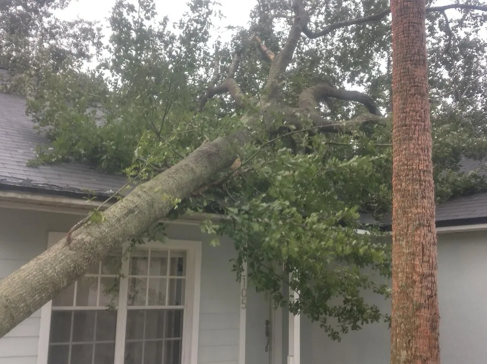 Reliable yard cleanup service near you in Sanford, FL by Xtreme Outdoor Solutions