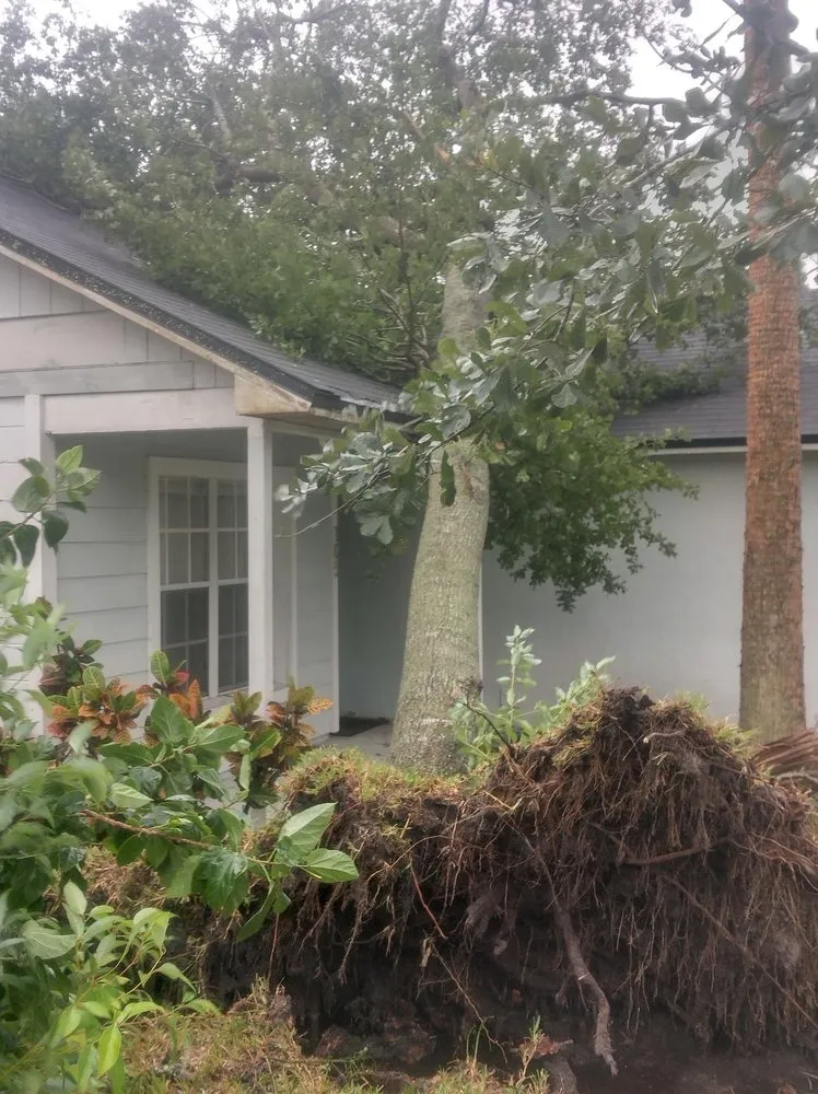 Expert lawn mowing service in Sanford, FL - Xtreme Outdoor Solutions